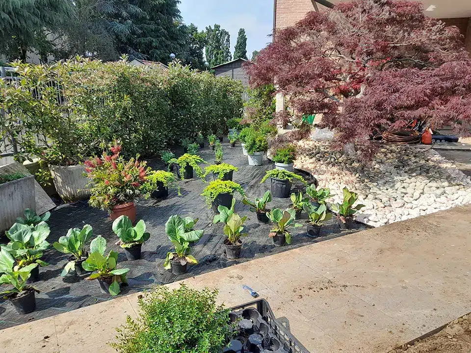 creazione-giardini-monza-brianza-brugherio