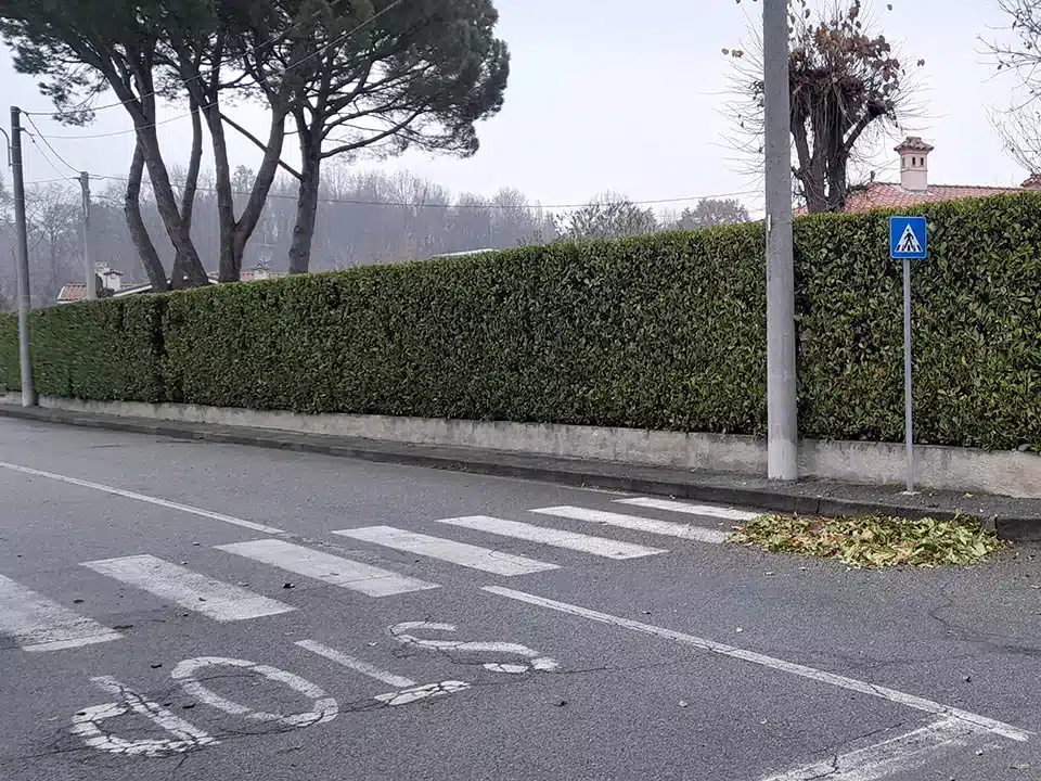 servizi-di-giardinaggio-monza-brianza-brugherio